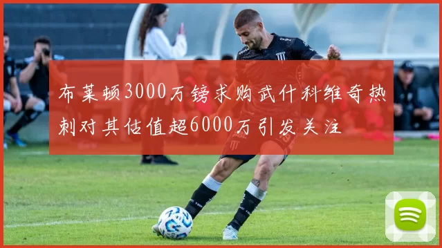 布莱顿3000万镑求购武什科维奇热刺对其估值超6000万引发关注